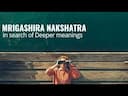 Mrigashira Nakshatra: Unveiling the Mysteries of the Curious Star -DKSCORE