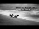 Understanding Ashwini Nakshatra: Traits, Padas, and Remedies -DKSCORE Understanding Ashwini Nakshatra: Traits, Padas, and Remedies -DKSCORE